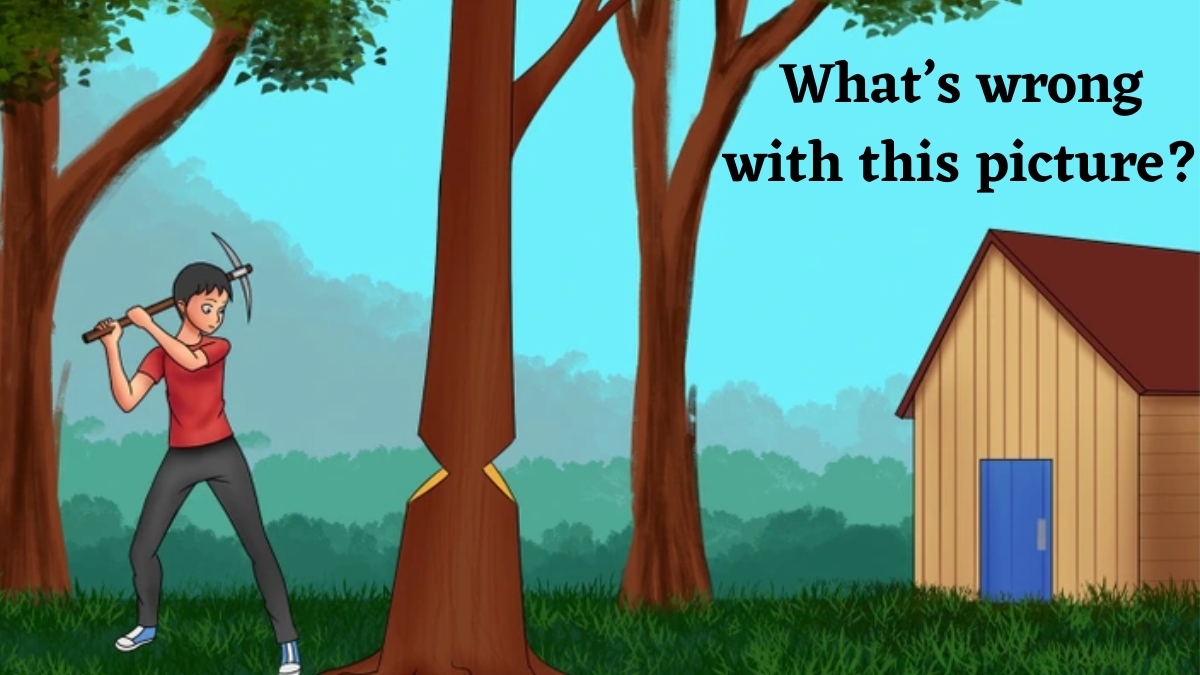 If You Possess A 140+ IQ Level, Then Find Out What’s Wrong in this Forest Area Given in the Picture